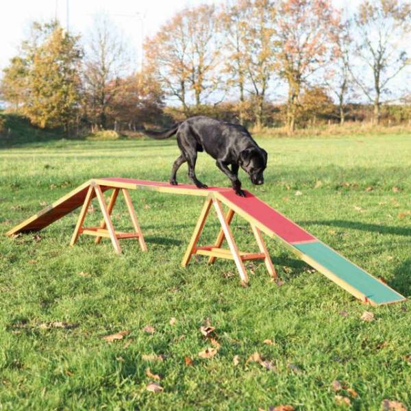 Fun Agility Steg