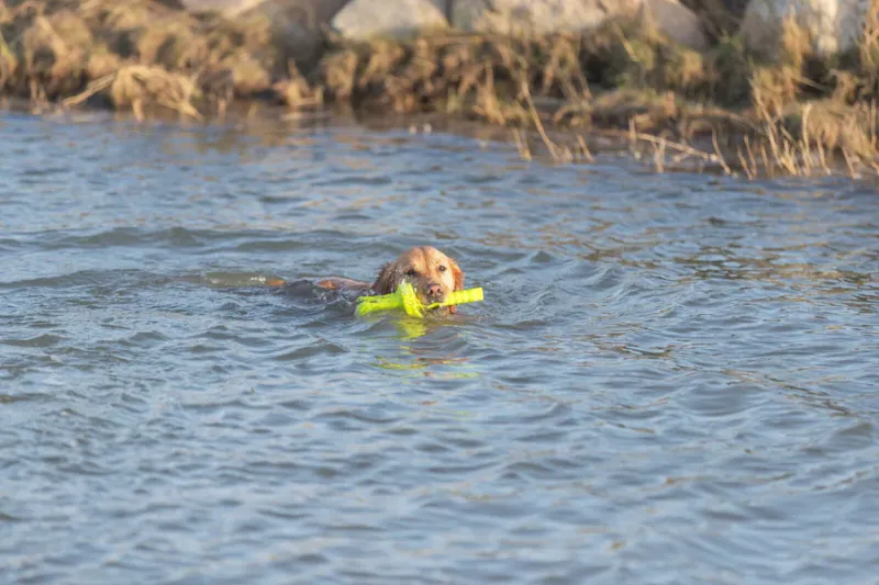 Preview: Aqua Toy MOT®-Aqua