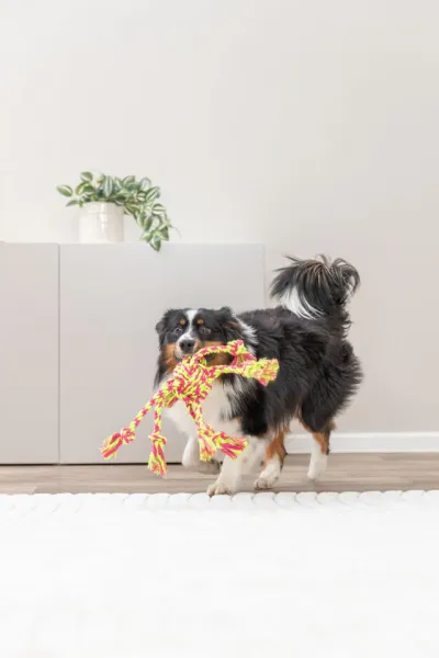 Tau-Spielzeug mit eingeflochtenem Ball