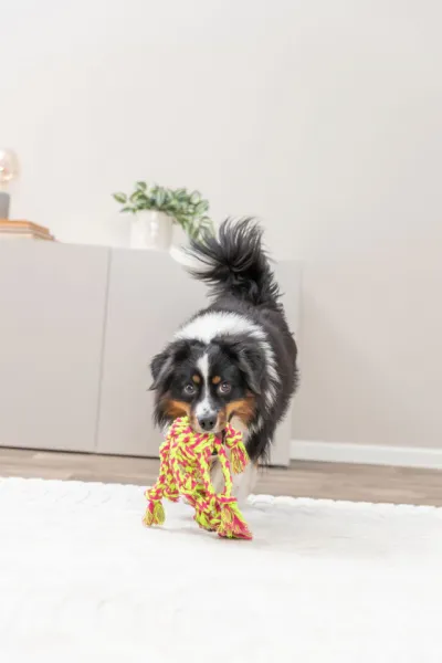 Tau-Spielzeug mit eingeflochtenem Ball