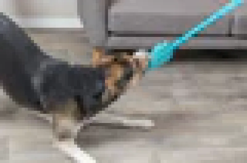 Preview: Bungee Dummy, Plüsch