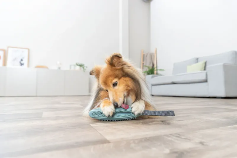 Preview: Snack-Stick am Gurt