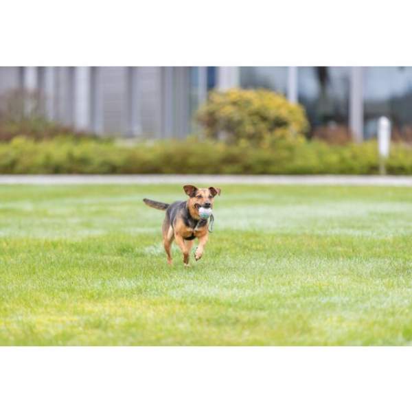 Ball am Seil, Naturgummi