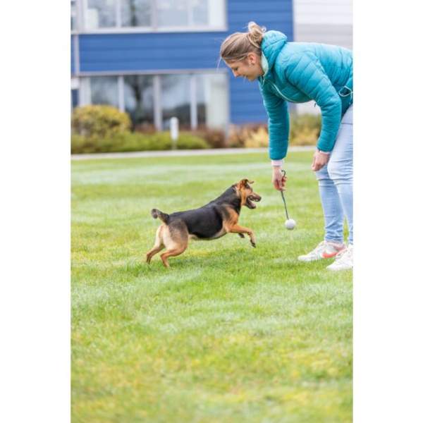 Preview: Ball am Seil, Naturgummi