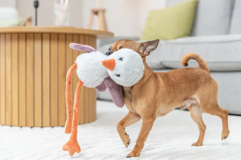 Preview: Hundeplüschtier Strauß