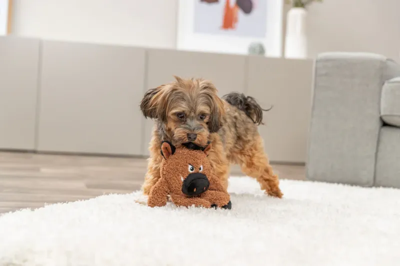 Preview: Hundeplüschtier Monster