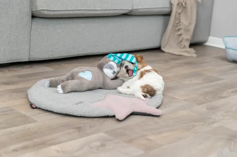 Junior Faultier Welpenspielzeug und Einschlafhilfe