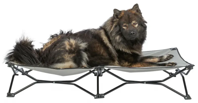 Preview: Camping-Bett