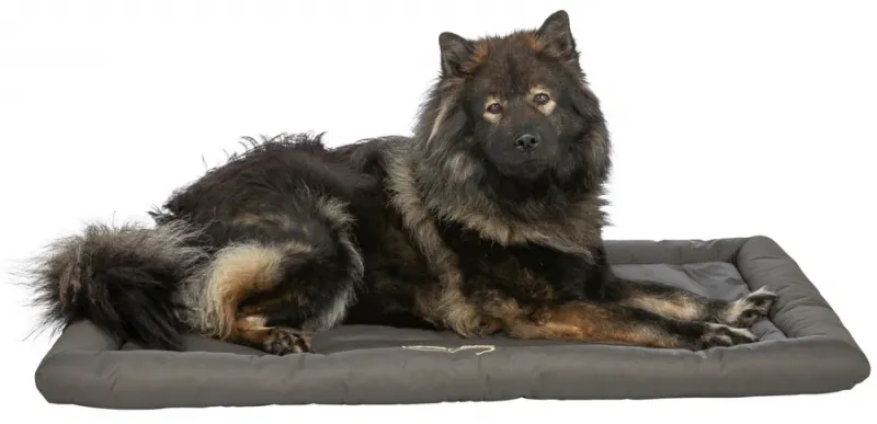 Reisedecke Samoa Classic