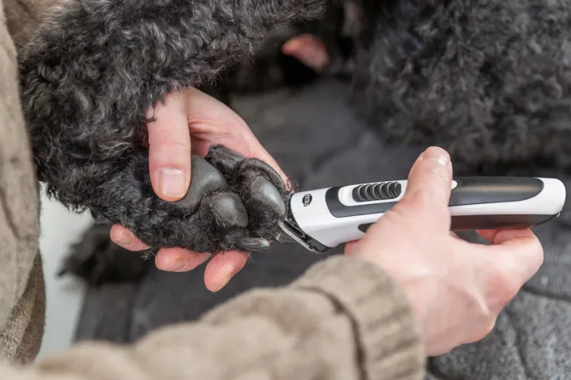 Akku-Schermaschine SLIM TR500