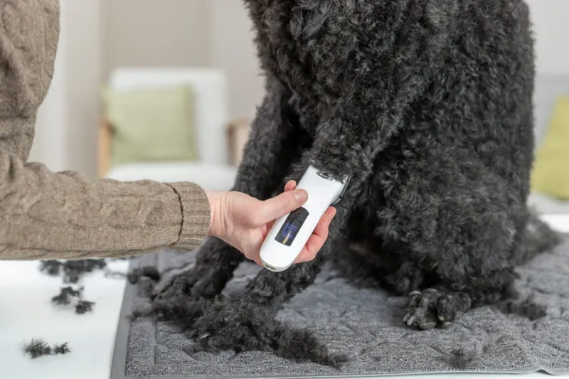 Akku-Schermaschine TR1600