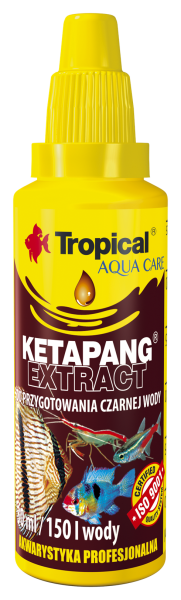 Ketapang Extract