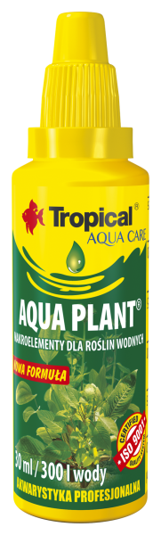 Aqua Plant