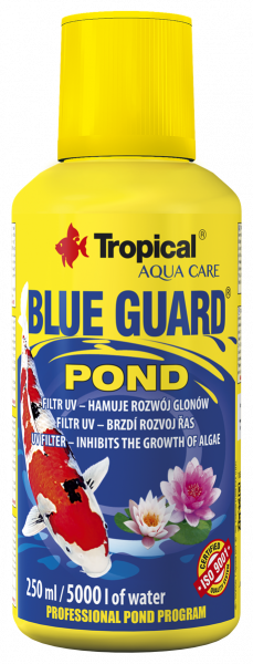 Blue Guard Pond