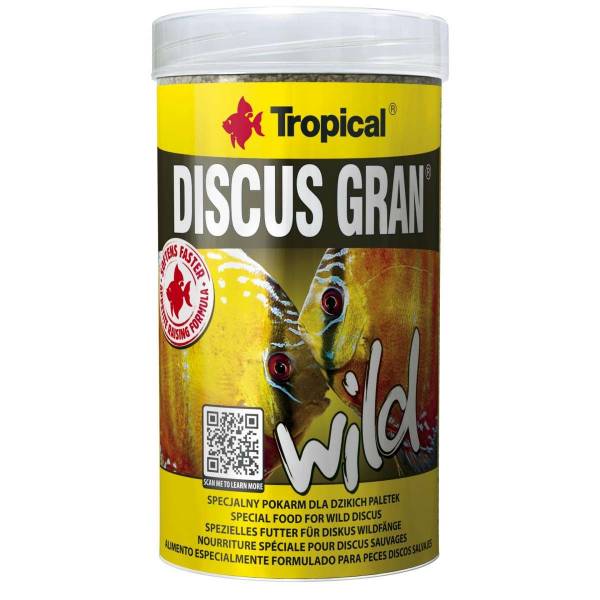 Discus Gran WILD