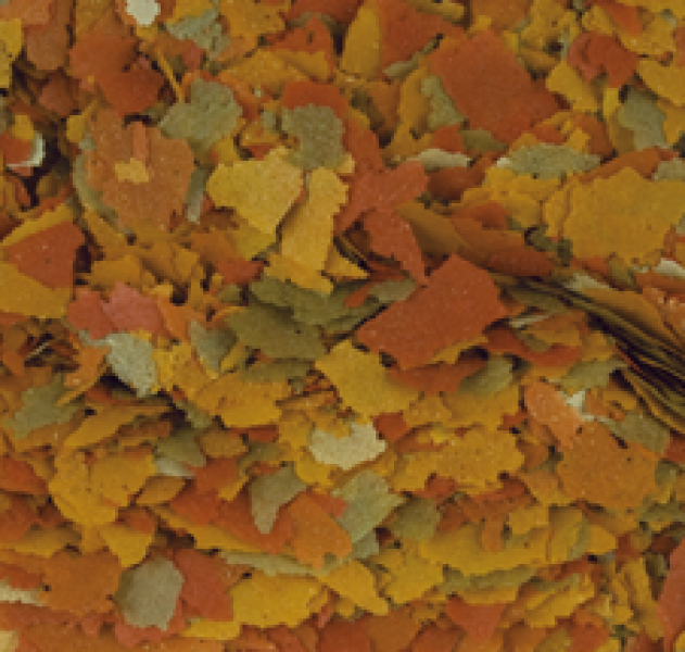 Goldfisch Color Flakes