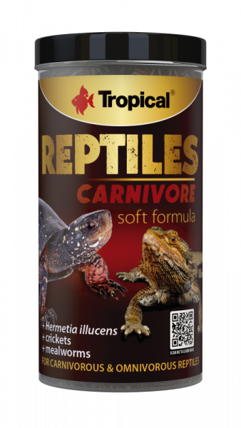 Reptiles Carnivore Soft Line