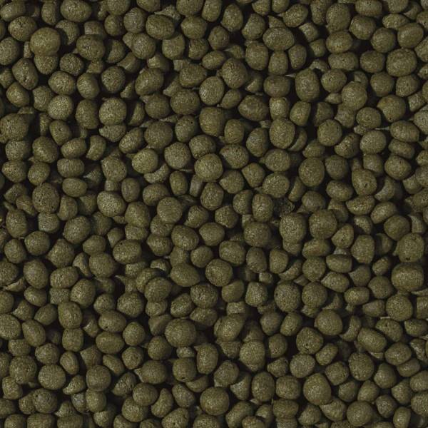 Cichlid Herbivore Medium Pellet