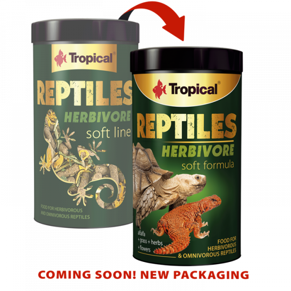 Reptiles Herbivore Soft Line