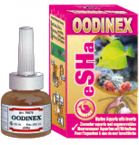 eSHa Oodinex