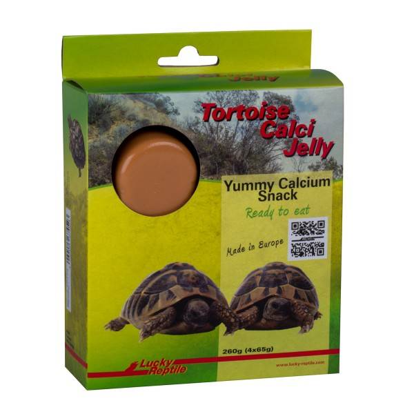 Tortoise Calci Jelly