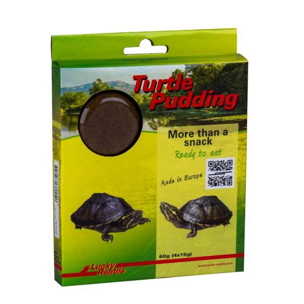 Turtle Pudding