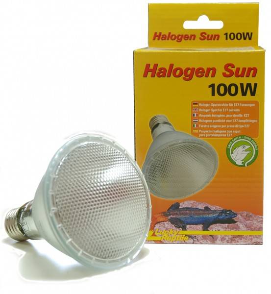 Lucky Reptile Halogen Sun "Wärmestrahler"