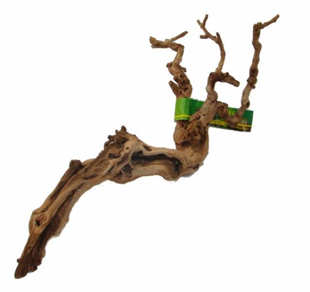 Lucky Reptile Premium Rebholz