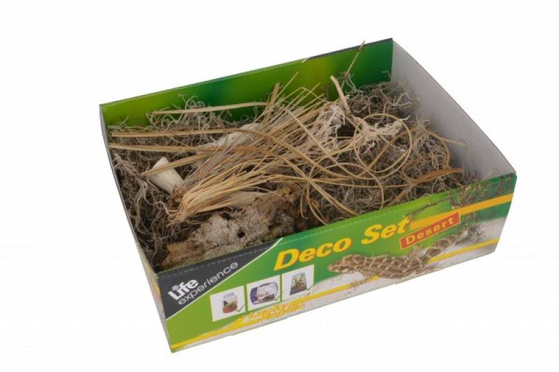 Life Experience-Deco Set