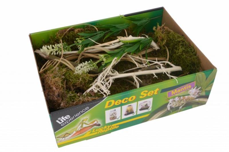Life Experience-Deco Set