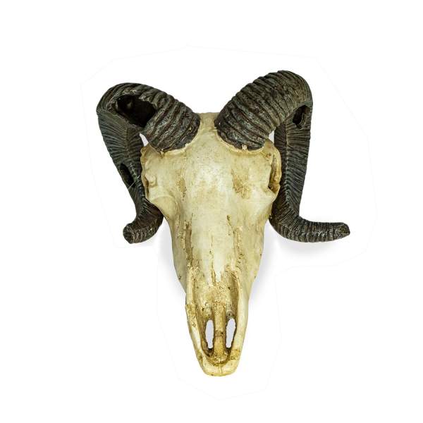 Lucky Reptile Deco Skull Ram (Widderschädel)
