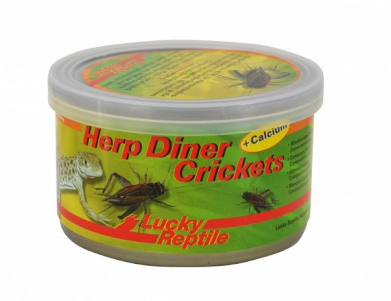 Lucky Reptile Herp Diner Crickets