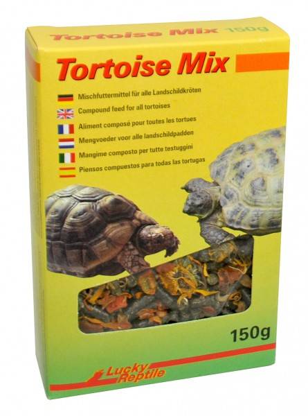 Lucky Reptile Tortoise Mix