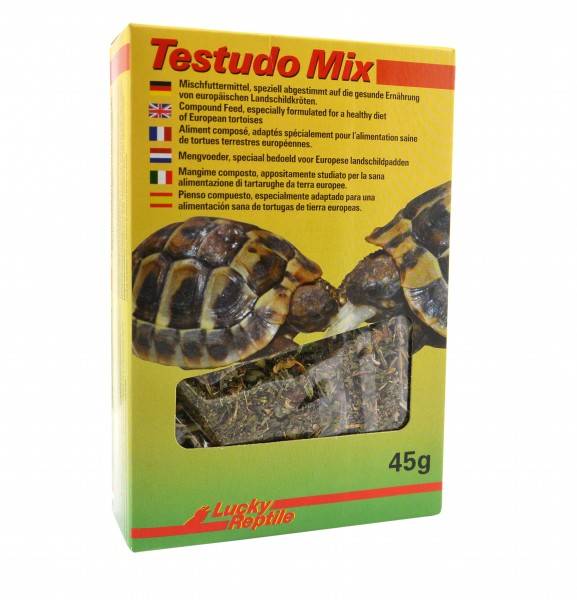 Lucky Reptile Testudo Mix