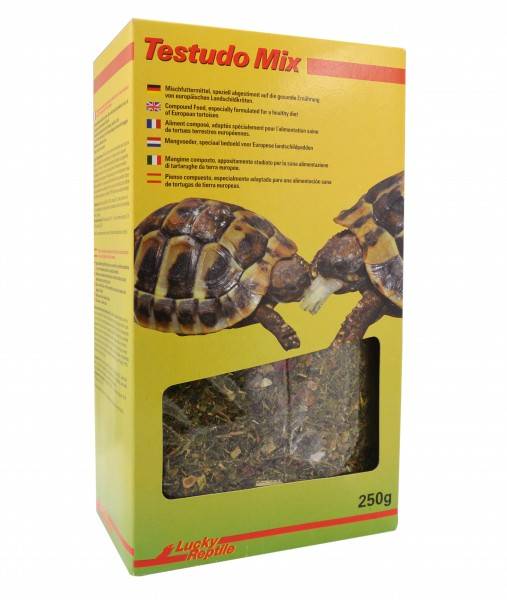 Lucky Reptile Testudo Mix