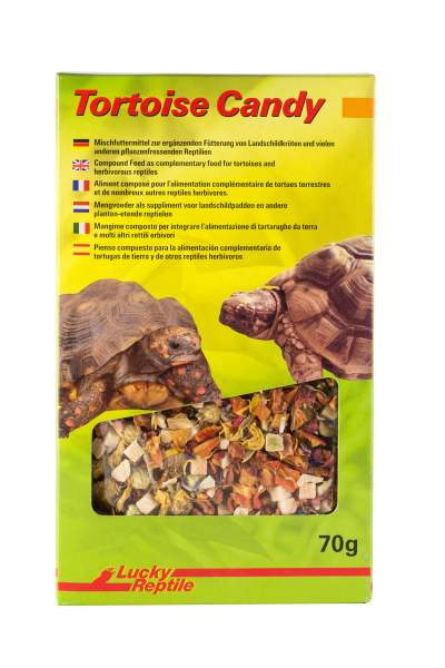 Lucky Reptile Tortoise Candy