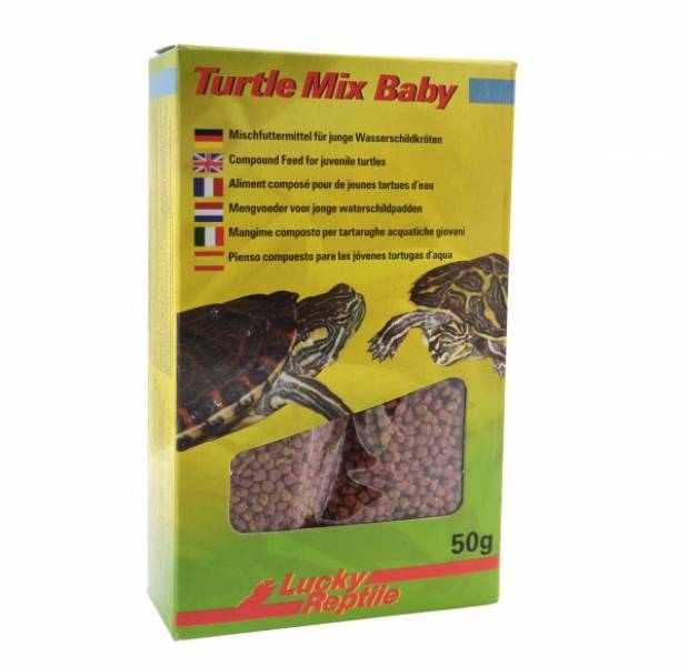 Lucky Reptile Turtle Mix Baby