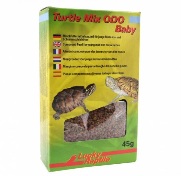 Lucky Reptile Turtle Mix "Odo"