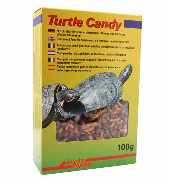 Lucky Reptile Turtle Candy