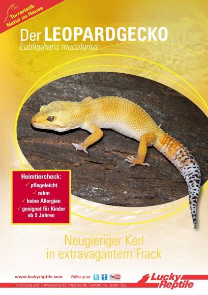 Lucky Reptile Starter Kit "Leopardgecko"