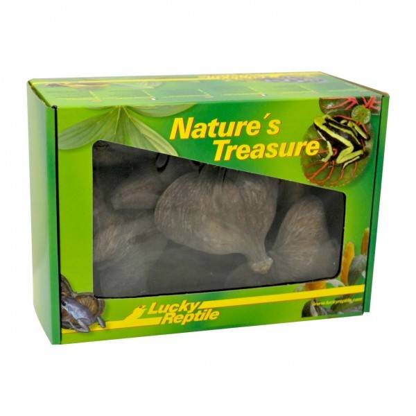 Lucky Reptile Nature`s Treasure