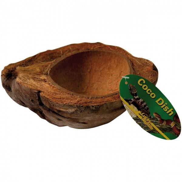 Lucky Reptile Coco Dish