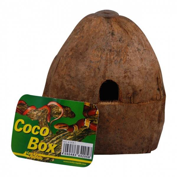 Lucky Reptile Coco Box