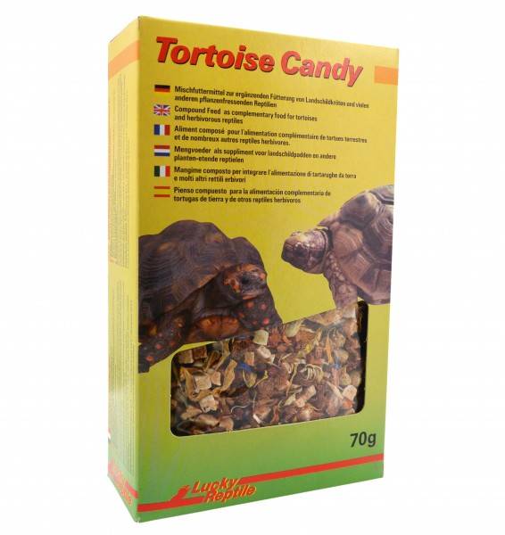 Lucky Reptile Tortoise Candy