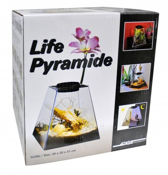 Lucky Reptile Life Pyramide