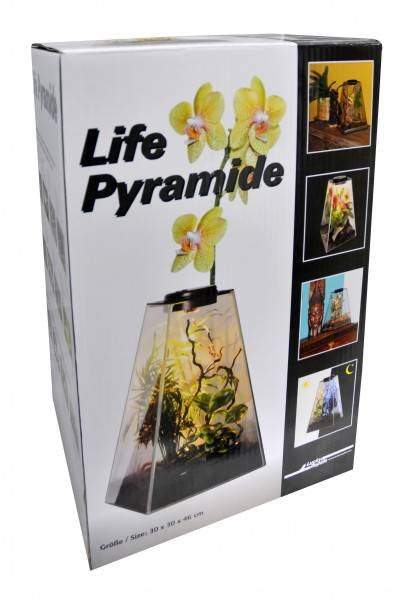 Lucky Reptile Life Pyramide