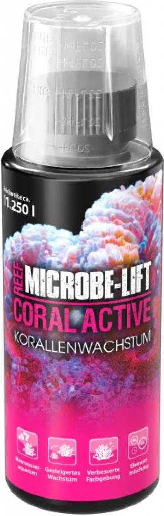 CORAL ACTIVE - Korallenwachstum