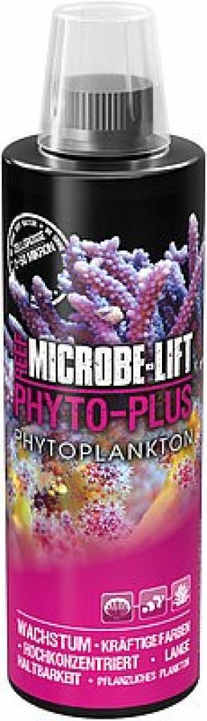 PHYTO-PLUS - Phytoplankton