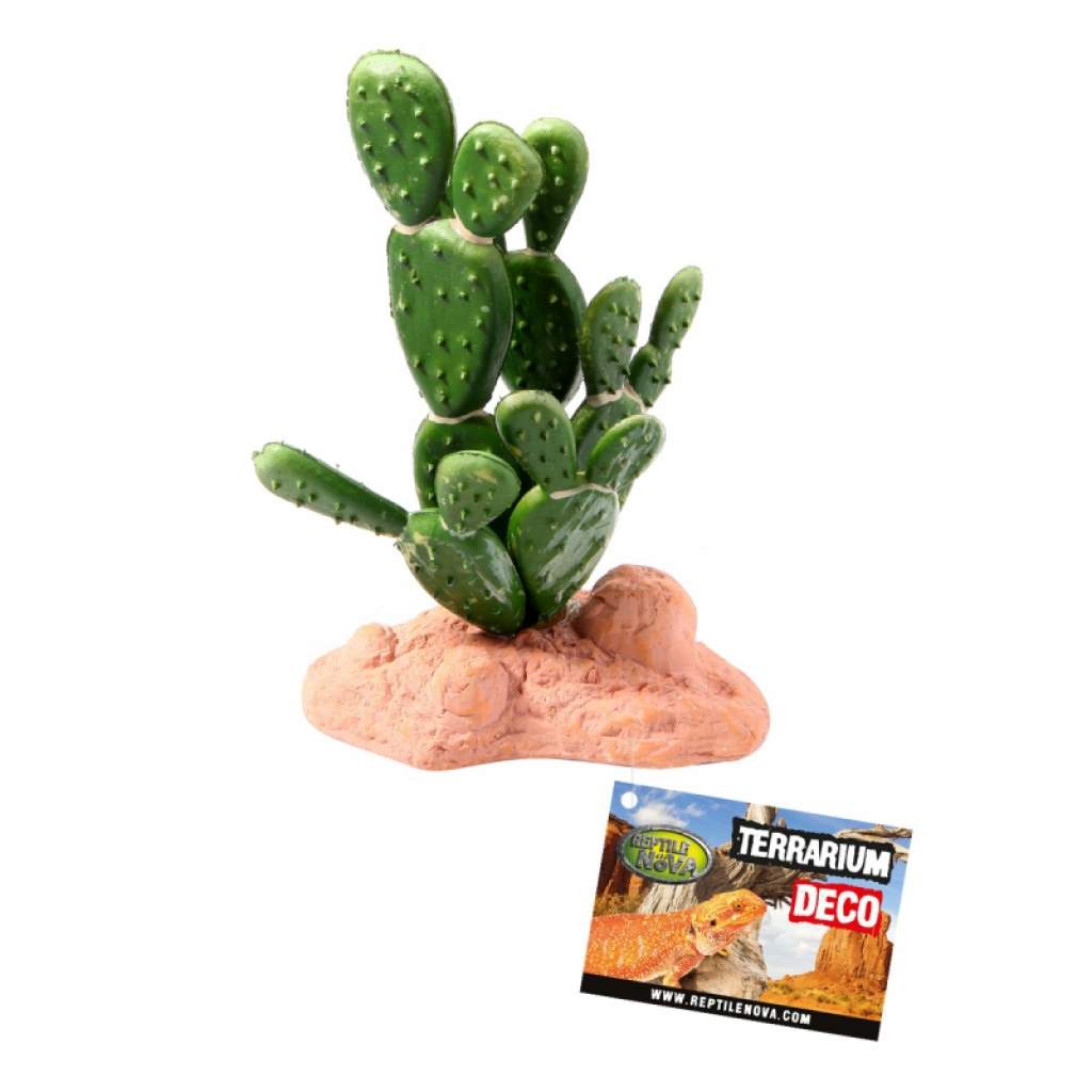 Reptile Nova Terrarium Knstlicher Kaktus 15 cm | Geckoworld Shop