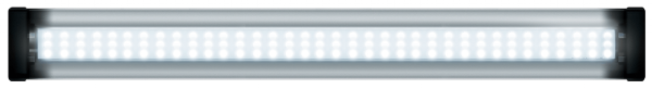 Jungle Dawn LED Bar